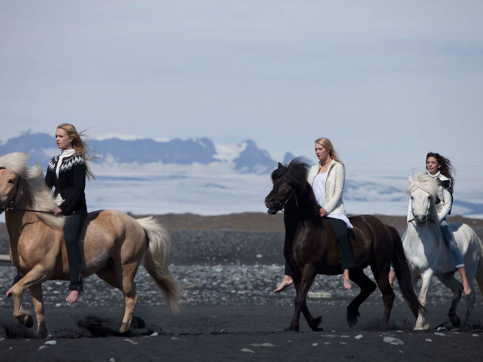 Horses